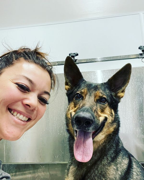 A groomer smiling next to an alert German Shepherd standing in a stainless steel grooming tub