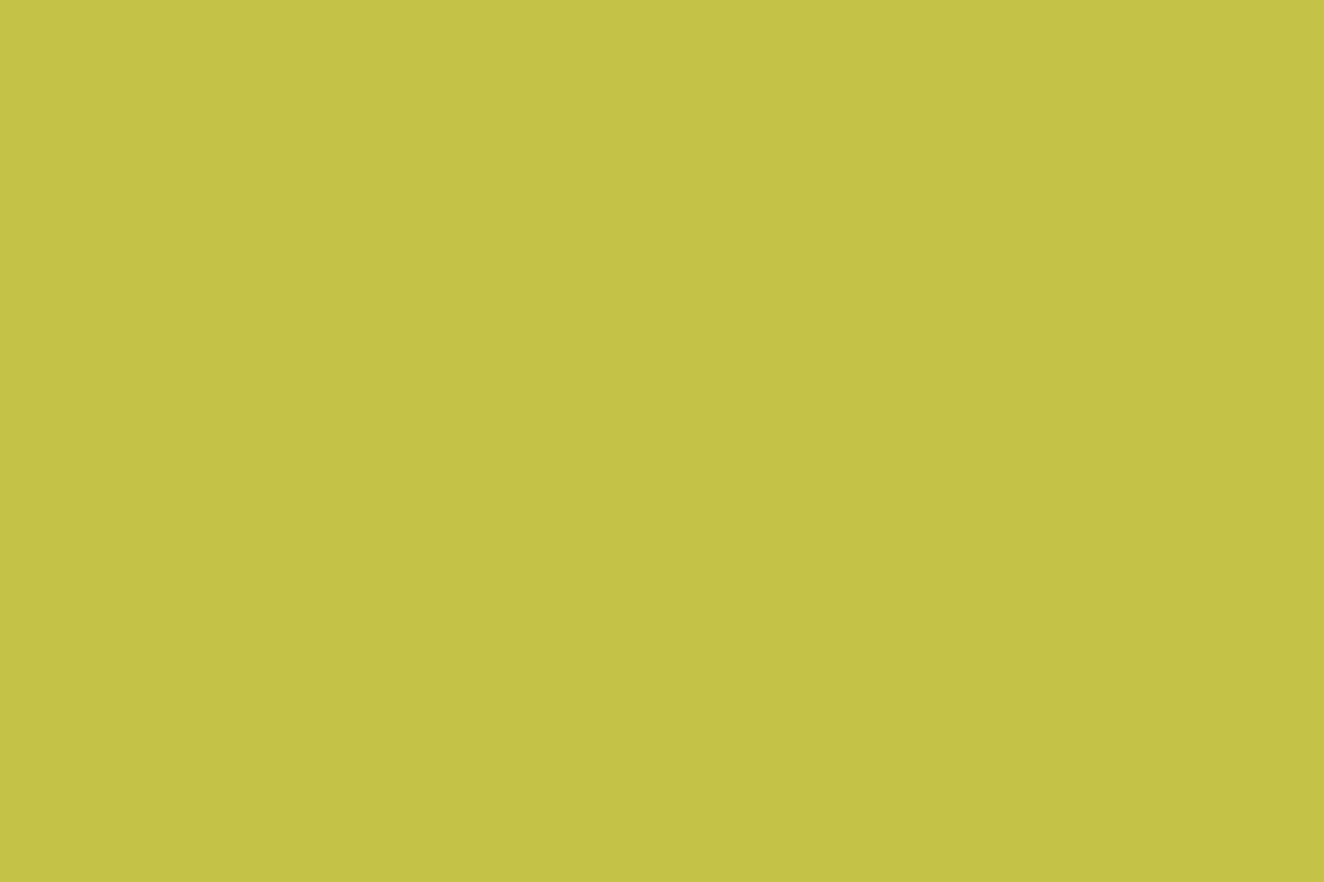 Solid colour placeholder tile 05, standing in for a gallery photograph