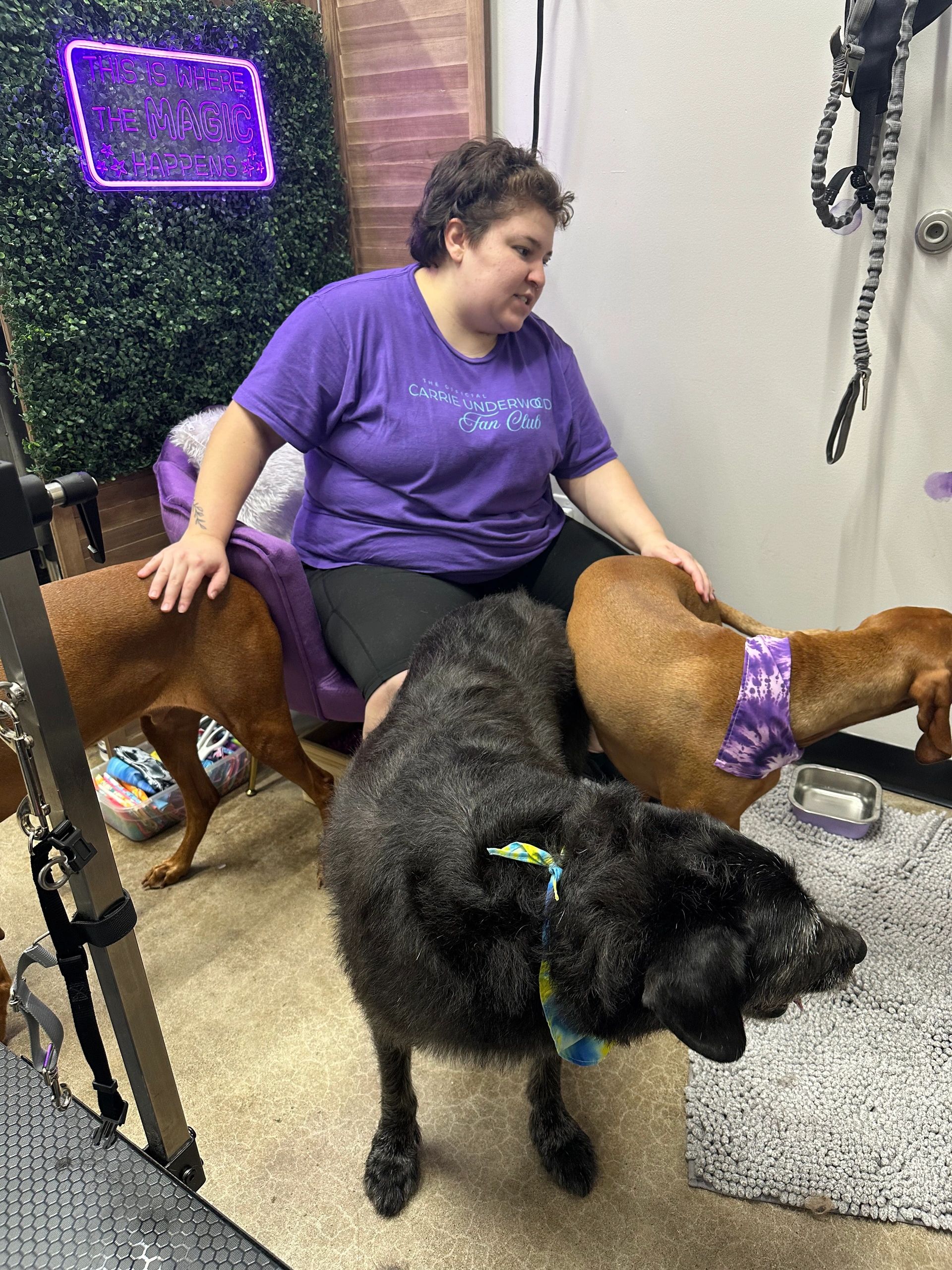 Grooming photo 54 from Leash and Lather Grooming Co.